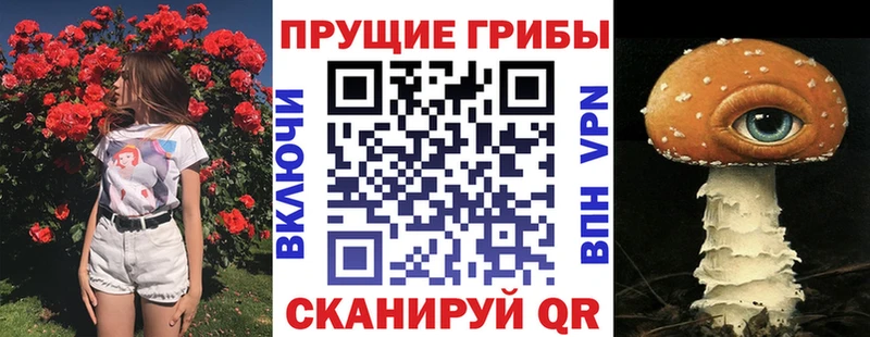 Псилоцибиновые грибы мицелий где найти Горячеводский